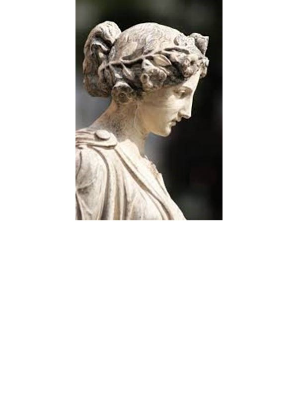 ALABASTER mavec 5 kg