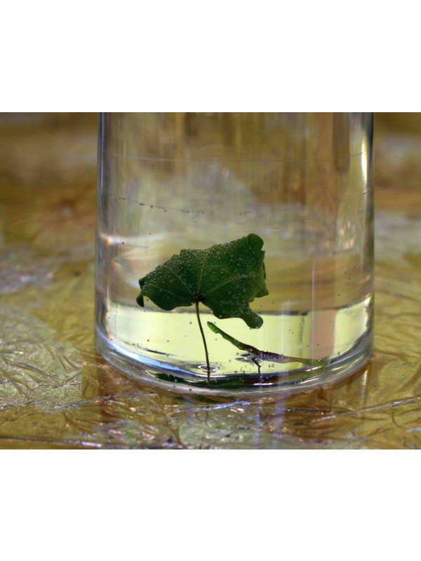 CRYSTALRES transparent polymer resin