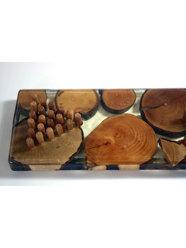VIWOOD for making wood/plastic composites